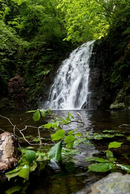 Gleno Waterfall branch