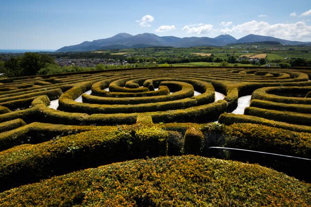 Castlewellan Maze