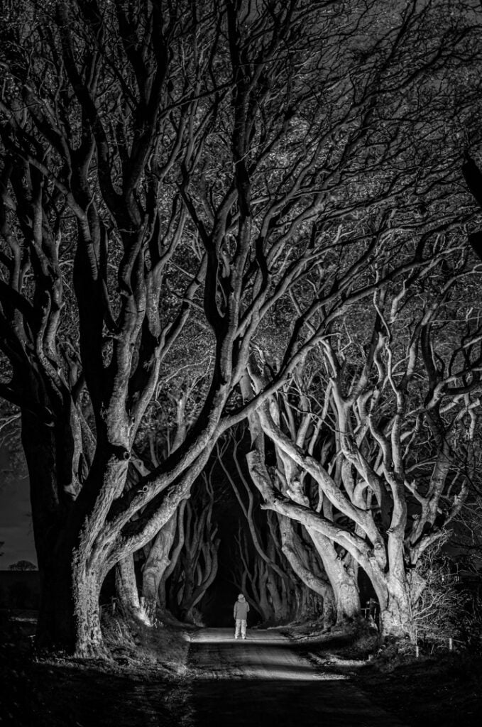 The Dark Hedges
