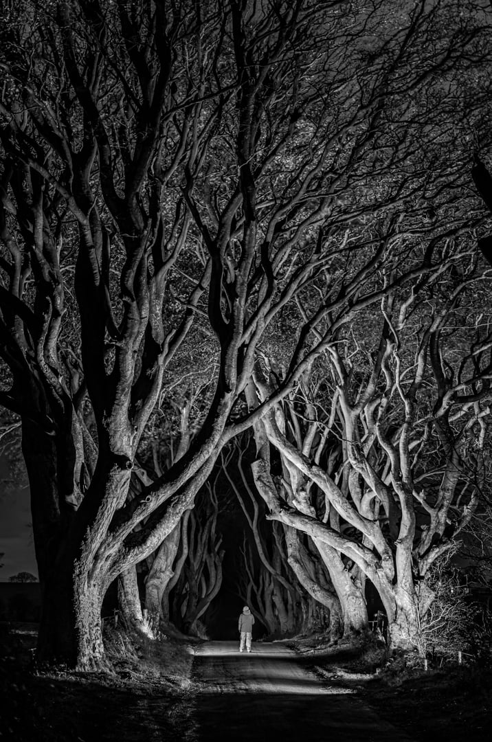 The Dark Hedges