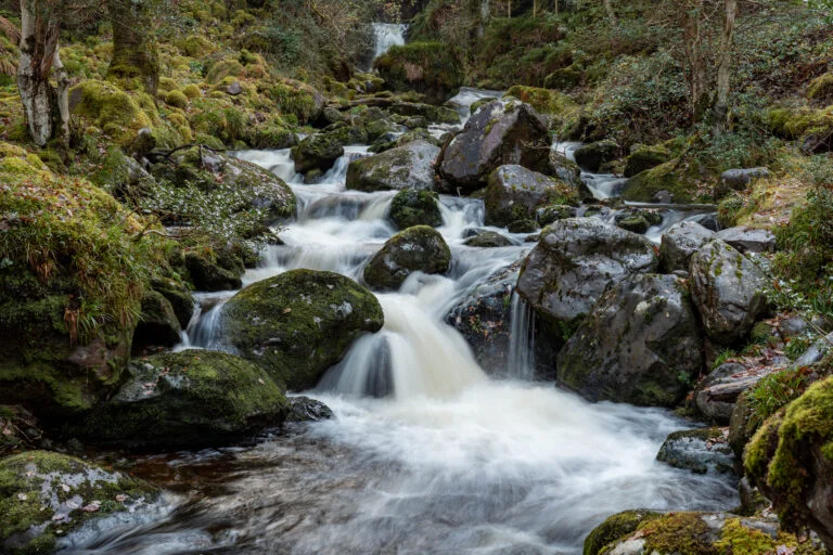 OSullivans Cascades Low