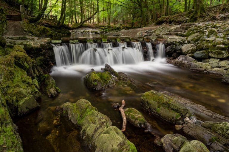 Tullymore Stepping Stones