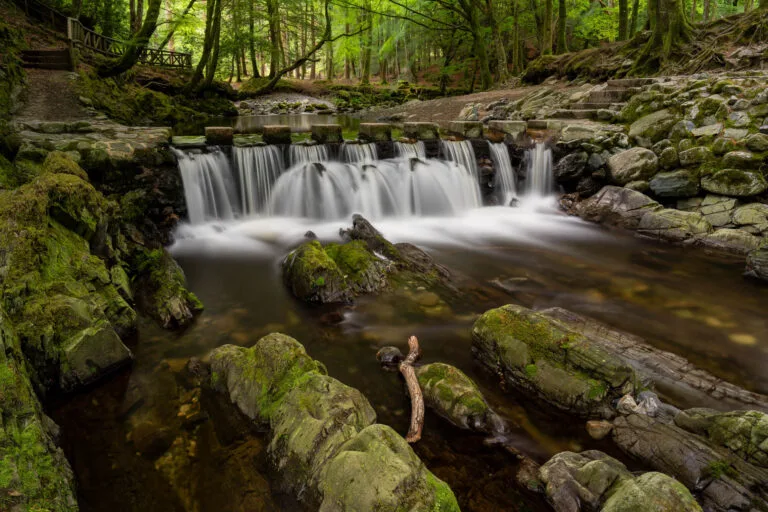 Tullymore Stepping Stones