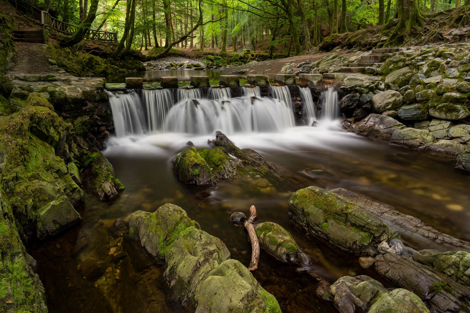 Tullymore Stepping Stones