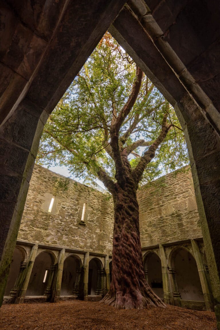 Muckcross Abbey