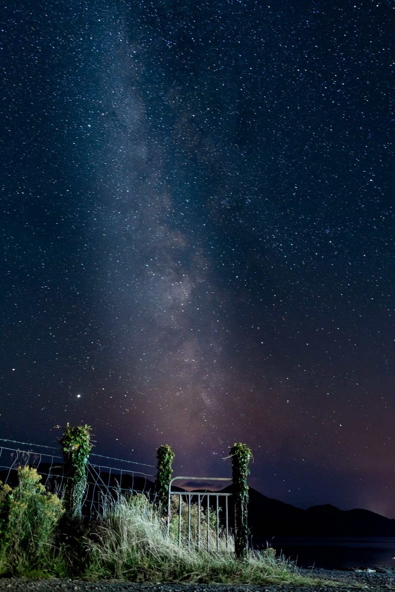 Milky Way above Bunaw in County Kerry, Ireland, with a light-painted gate and vegetation beneath the star-filled night sky